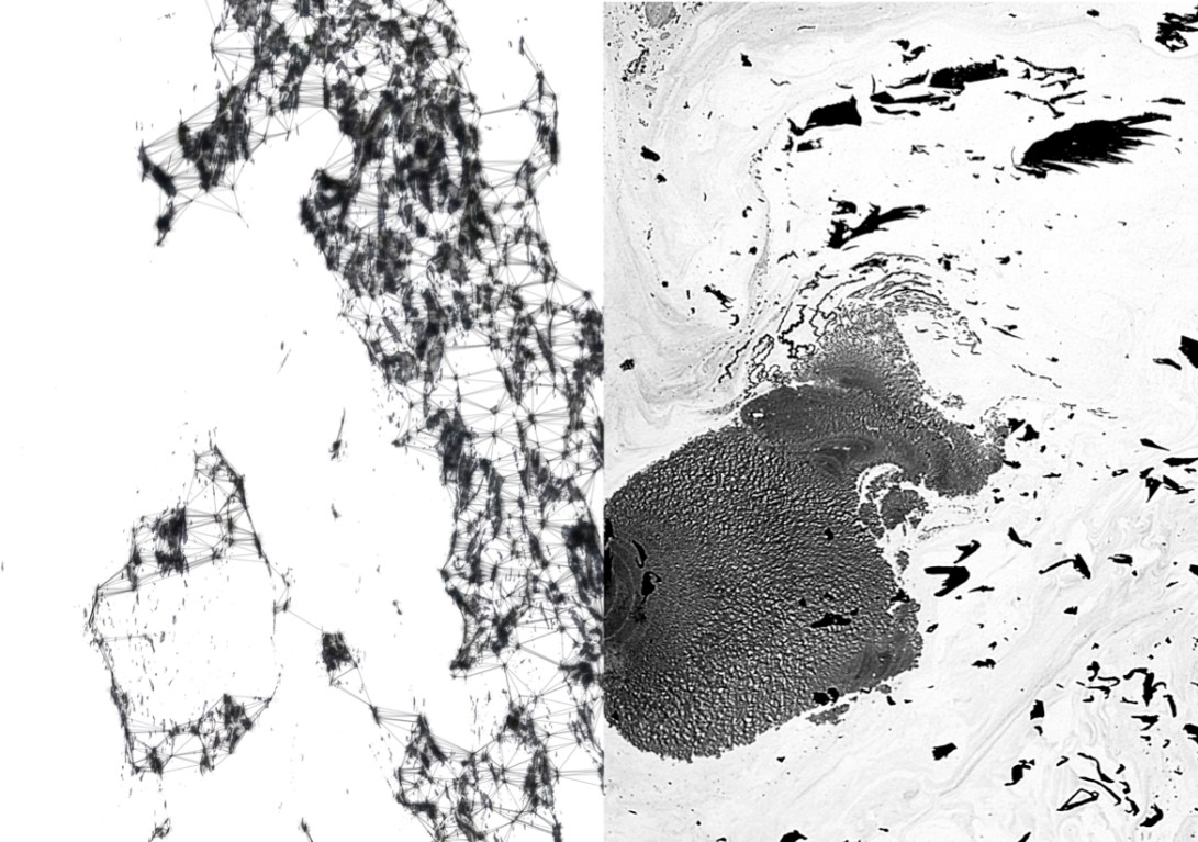 Fält-Fusco Surface tension 19